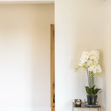 Apartamento Porta Rossa Exclusive